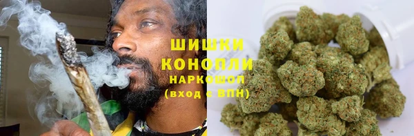 гидра Арсеньев