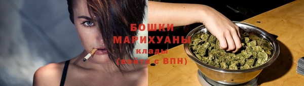 гидра Арсеньев