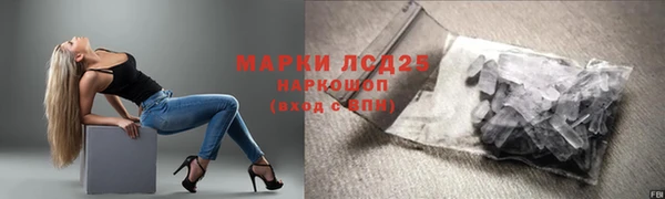 гидра Арсеньев