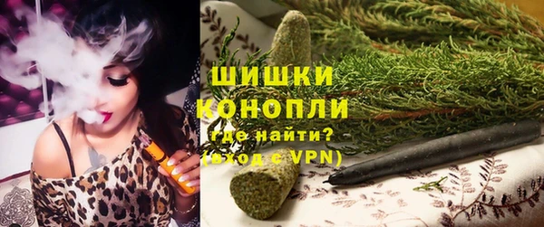 гидра Арсеньев