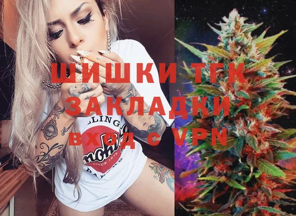 гидра Арсеньев
