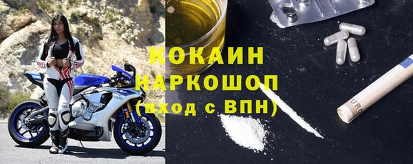 гидра Арсеньев