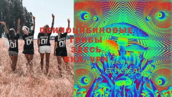ПСИЛОЦИБИНОВЫЕ ГРИБЫ Армянск