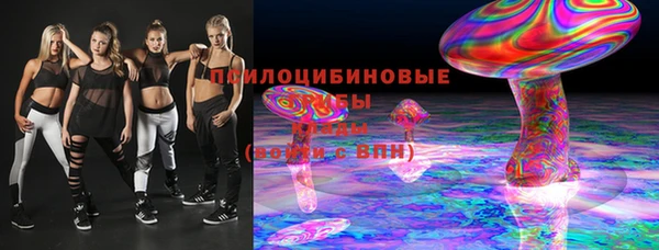 ПСИЛОЦИБИНОВЫЕ ГРИБЫ Армянск
