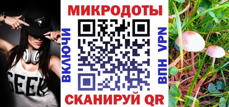 купить наркоту  OMG зеркало  Галлюциногенные грибы Psilocybe  Никольское 